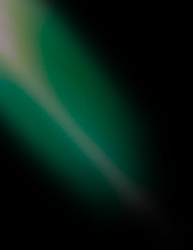 Vector